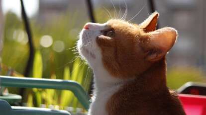 Погода в Днепре август