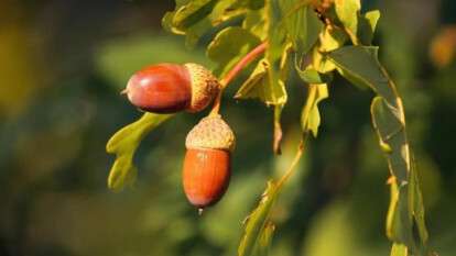 Погода в Днепре сентябрь