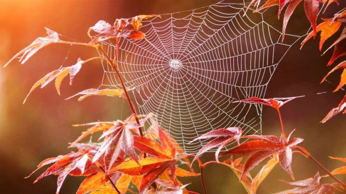 Погода в Дніпрі вересень