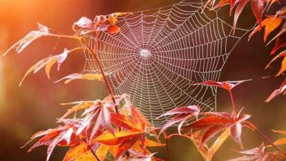 Погода в Дніпрі вересень