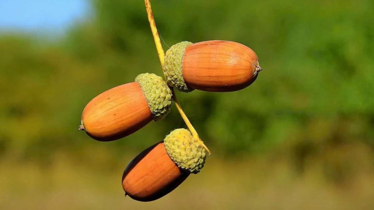 Погода в Днепре сентябрь