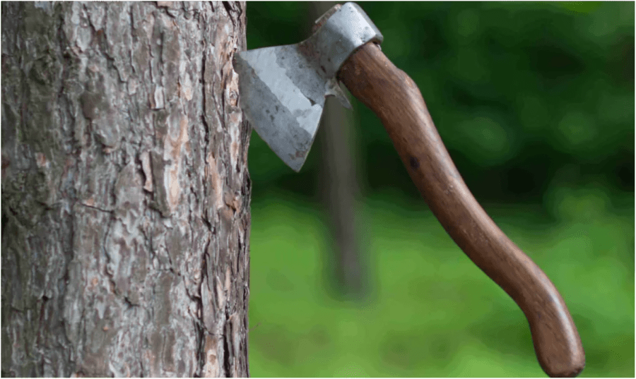 Правовий захист лісів в Україні