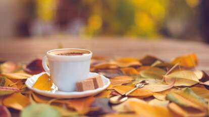 Погода в Днепре сентябрь