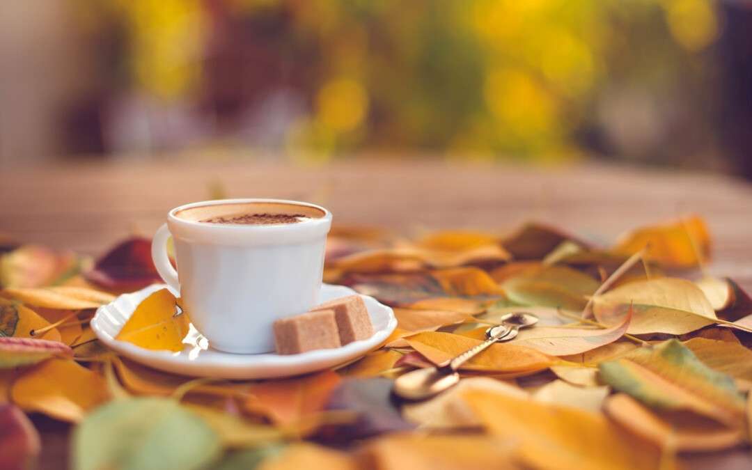 Погода в Дніпрі вересень