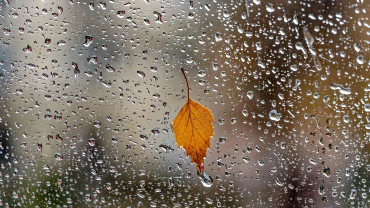 Погода у Дніпрі осінь, дощ