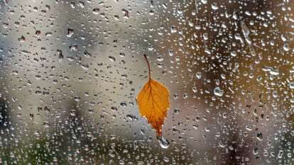 Погода в Днепре осень, дождь