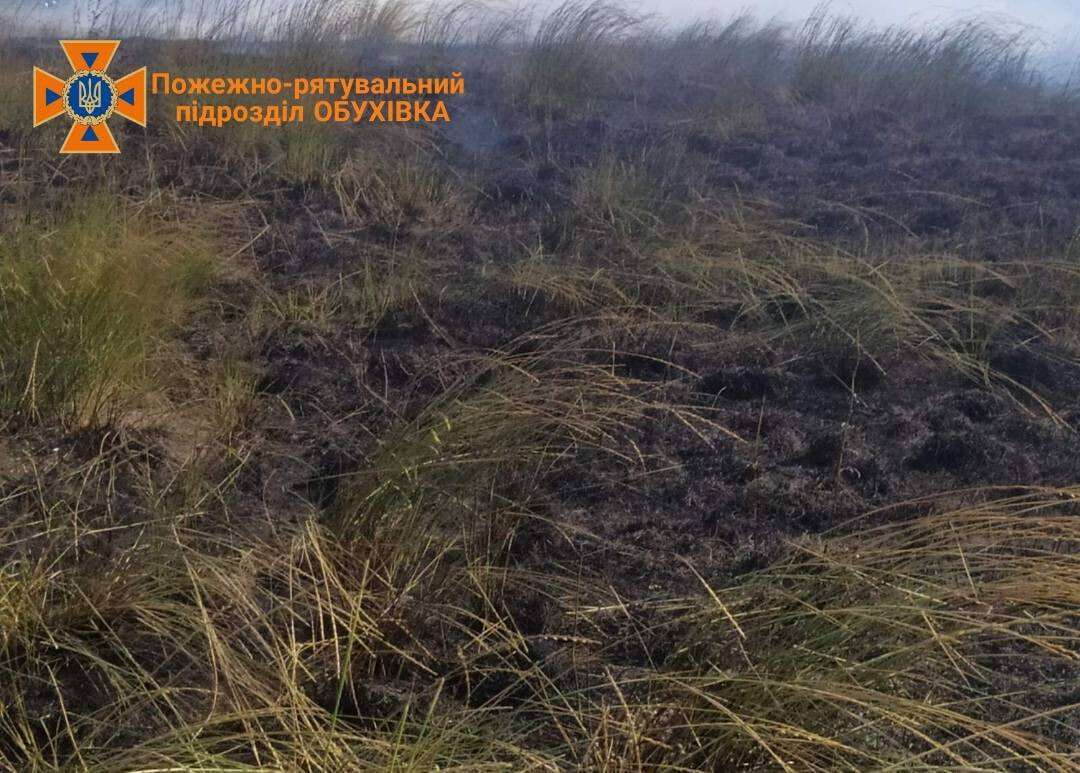 Масштабні пожежі спалахнули під Дніпром