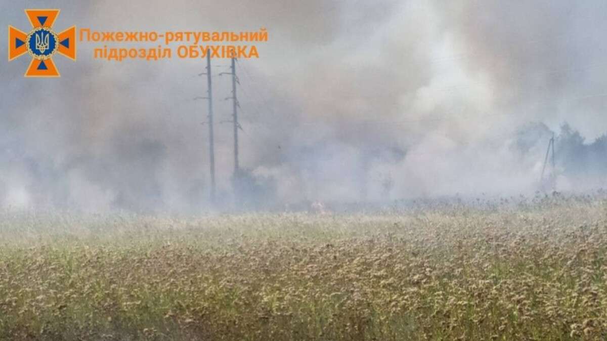 Масштабні пожежі спалахнули під Дніпром