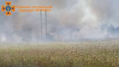 Масштабні пожежі спалахнули під Дніпром