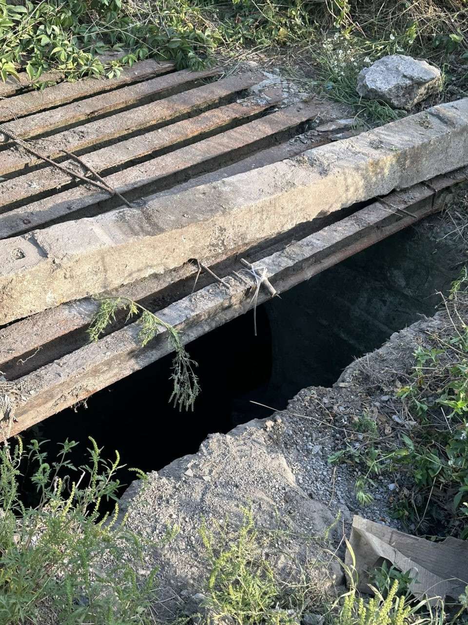 З каналізаційного колектору майже два тижні рятують собаку - що відомо