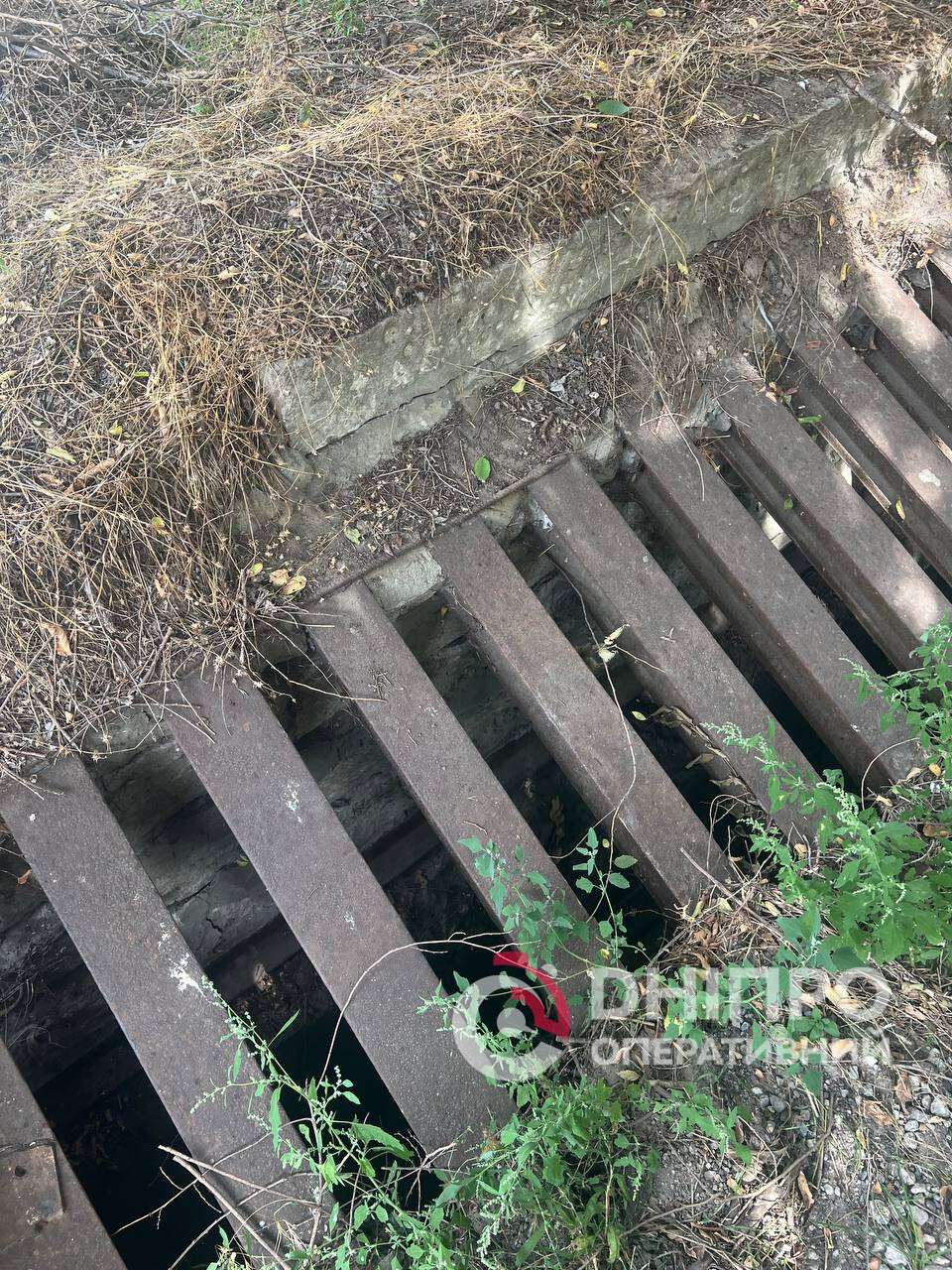 З каналізаційного колектору майже два тижні рятують собаку - що відомо