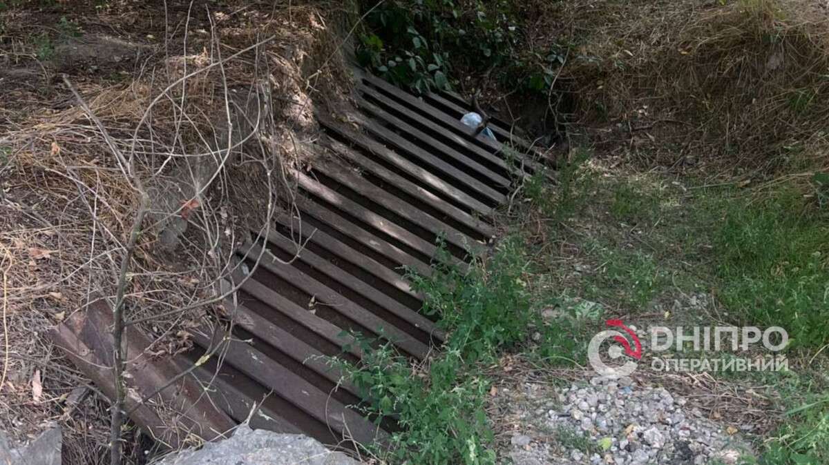 Из канализационного коллектора почти две недели спасают собаку – что известно