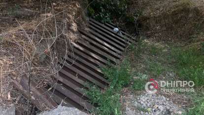 Из канализационного коллектора почти две недели спасают собаку – что известно