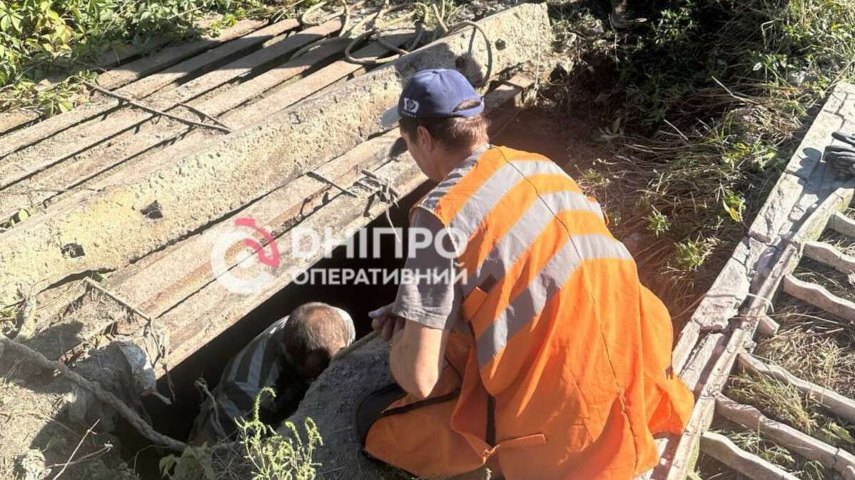 З каналізації на Політехнічній рятували собаку, яка провела там 12 днів