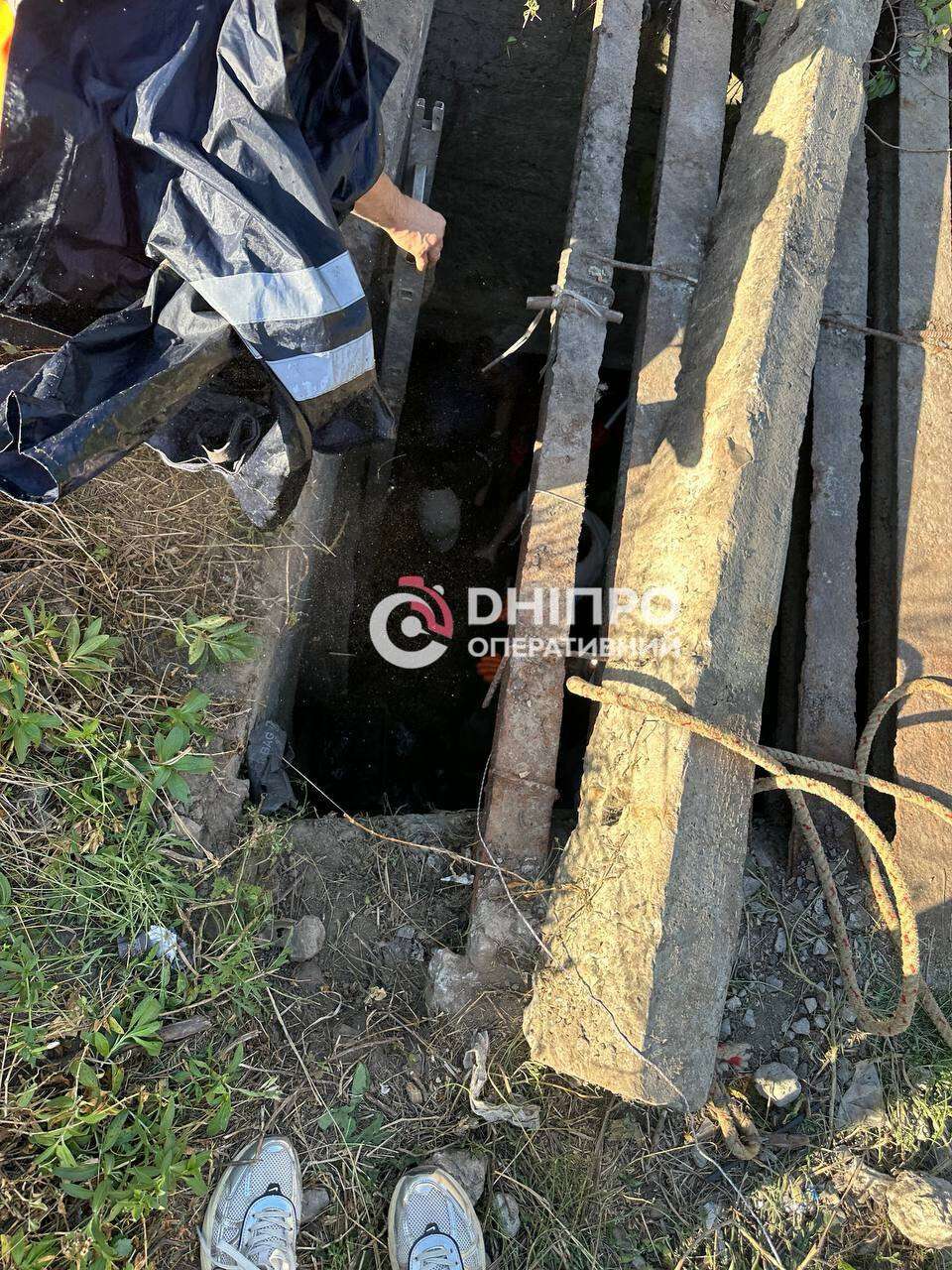 Из канализации на Политехнической спасали собаку, которая провела там 12 дней