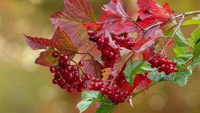 Погода в Днепре осень
