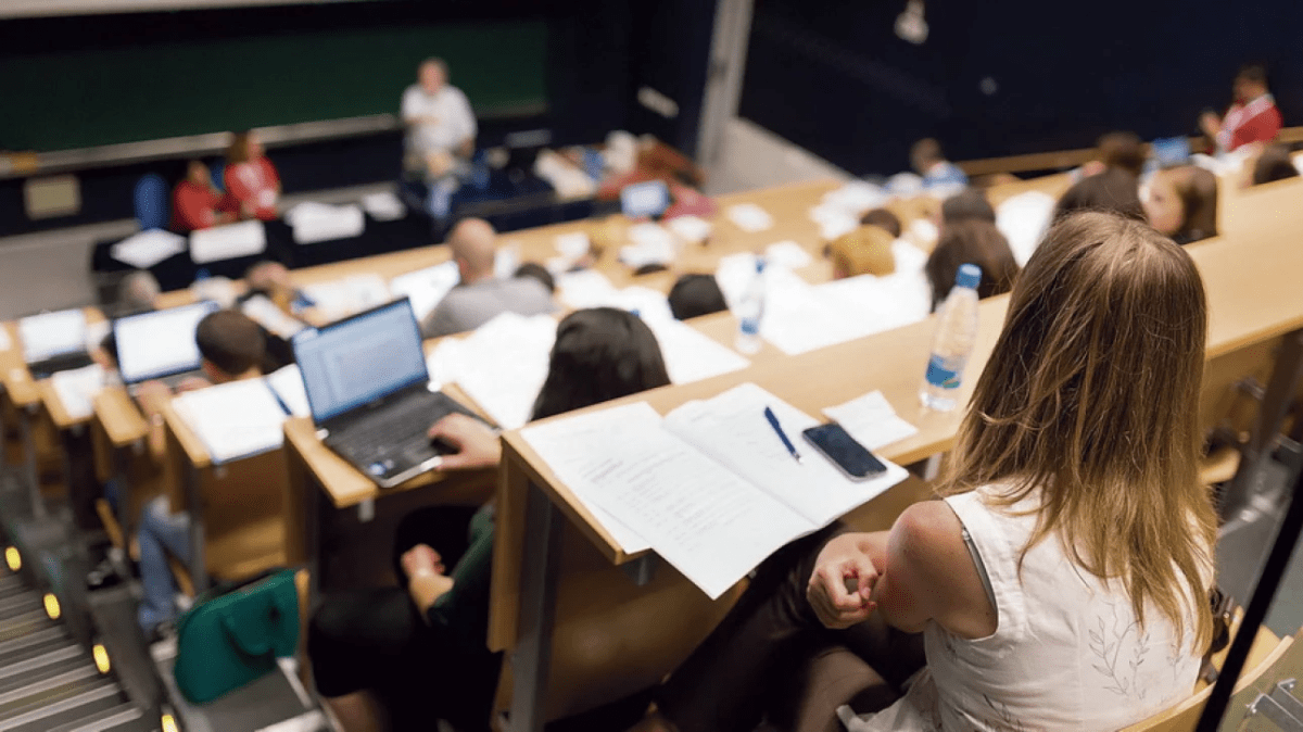 Образование