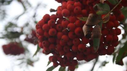 Погода в Днепре сентябрь