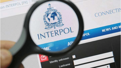 Як працює Інтерпол