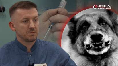 Бешенство в Днепре и области: врачи предупреждают об опасности