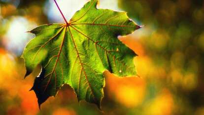 Погода в Днепре сентябрь