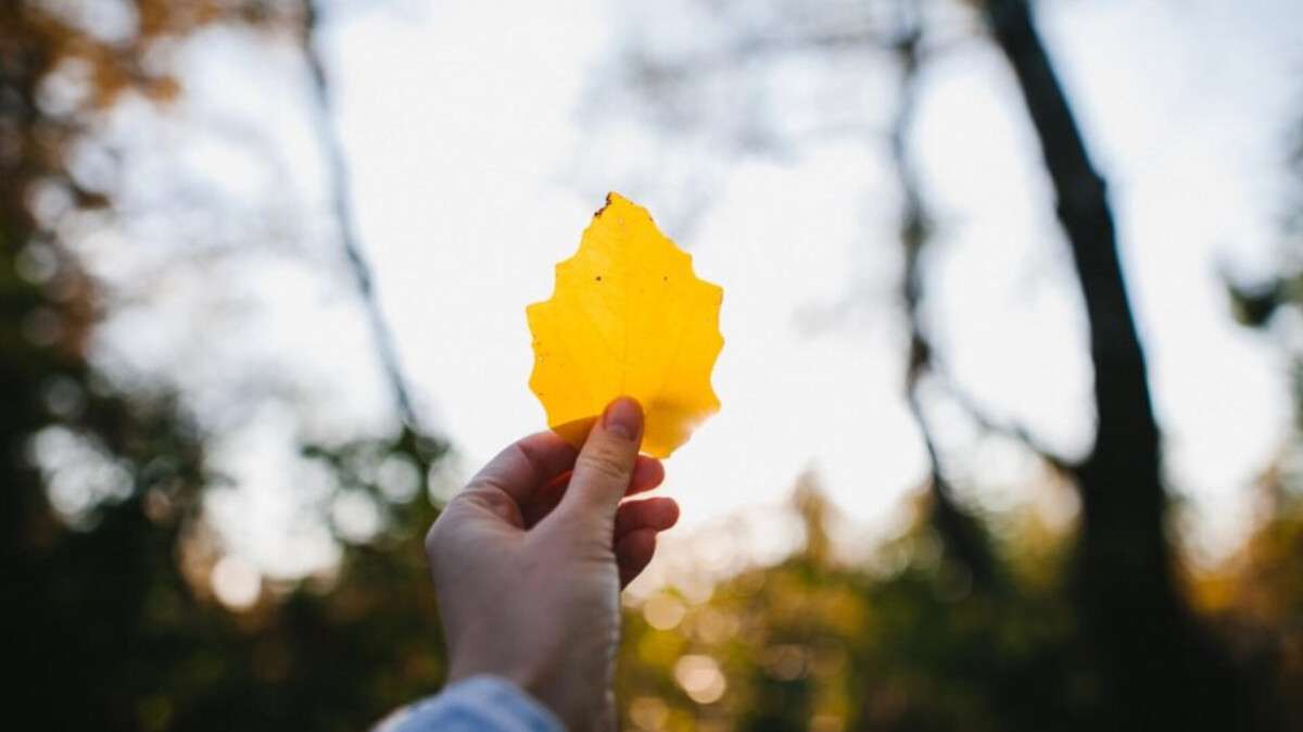 Погода в Днепре осень