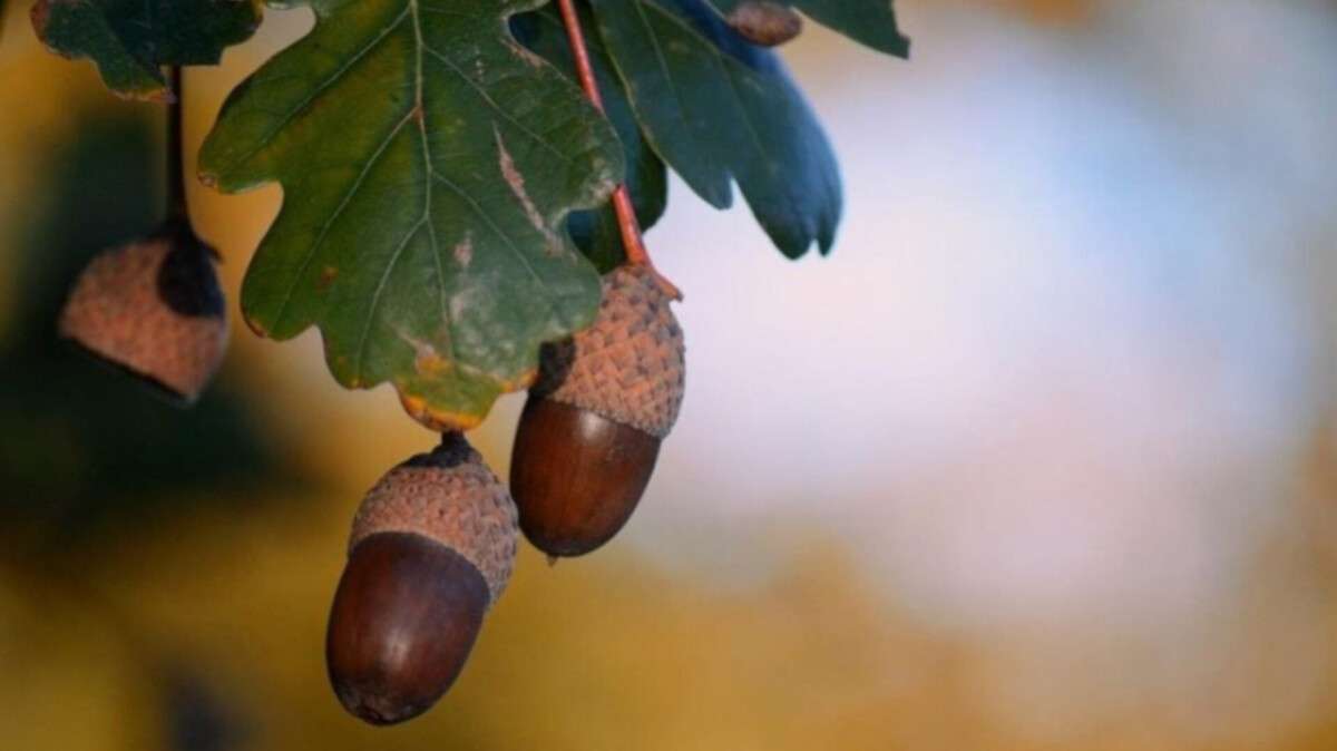 Погода у Дніпрі вересень