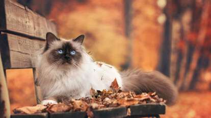 Погода в Дніпрі вересень