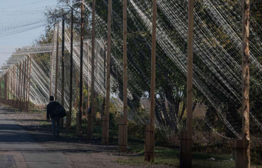 Антидронові сітки