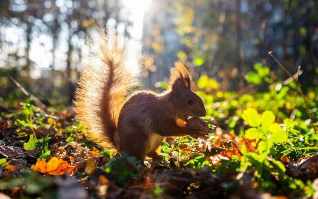 Погода в Днепре сентябрь
