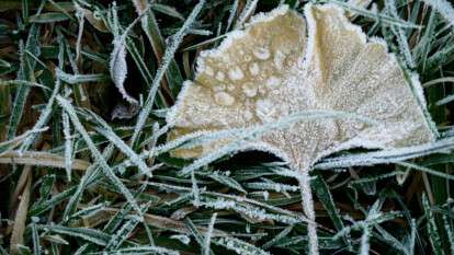 Погода в Днепре осень