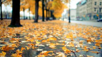 Погода в Днепре сентябрь