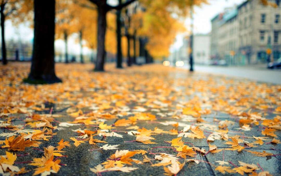 Погода в Дніпрі вересень