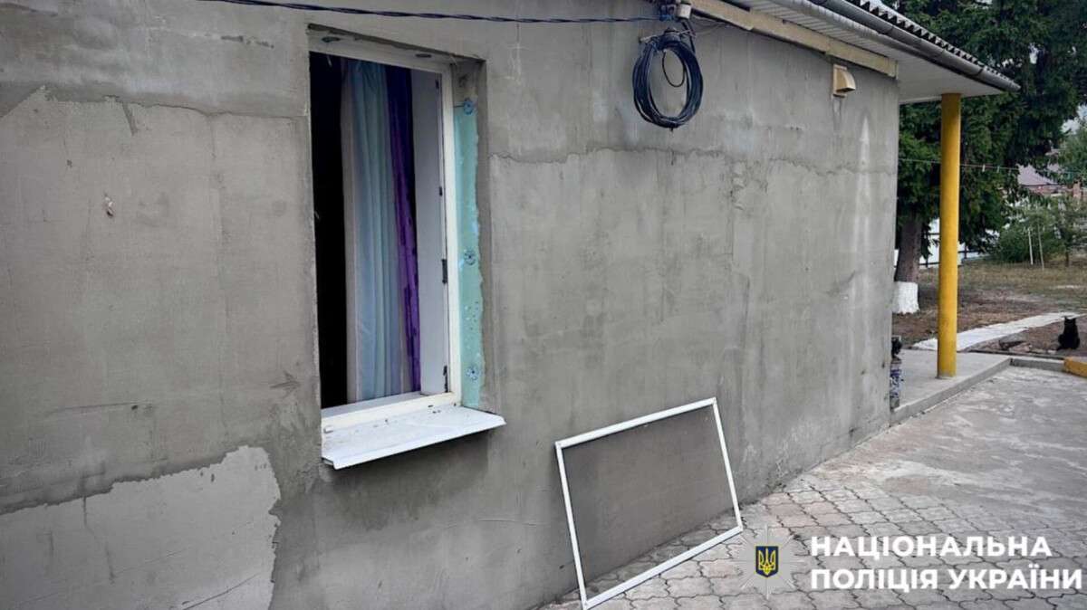 Домушника поймали в Новокодакском районе