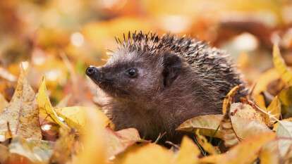 Погода у Дніпрі жовтень