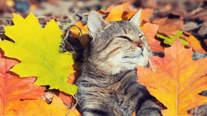 Погода в Дніпрі жовтень