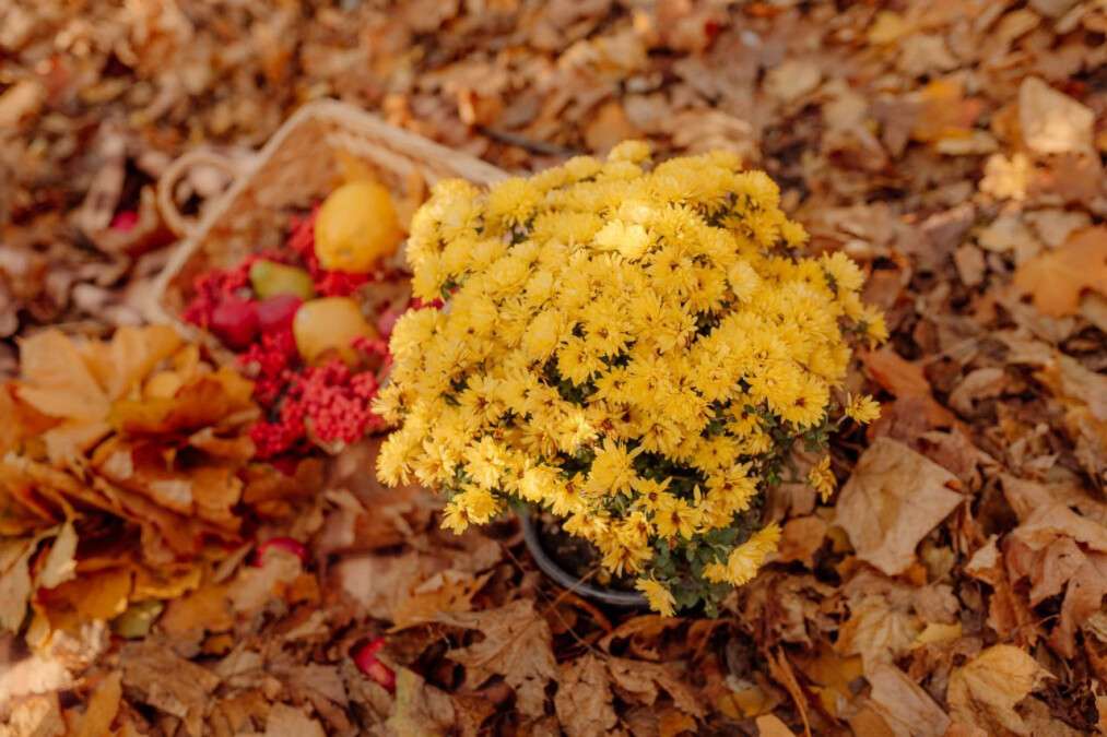 Погода в Днепре октябрь