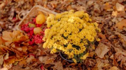 Погода в Днепре октябрь