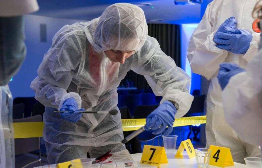 Як працює судово-медична експертиза