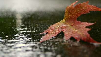 Погода в Днепре октябрь