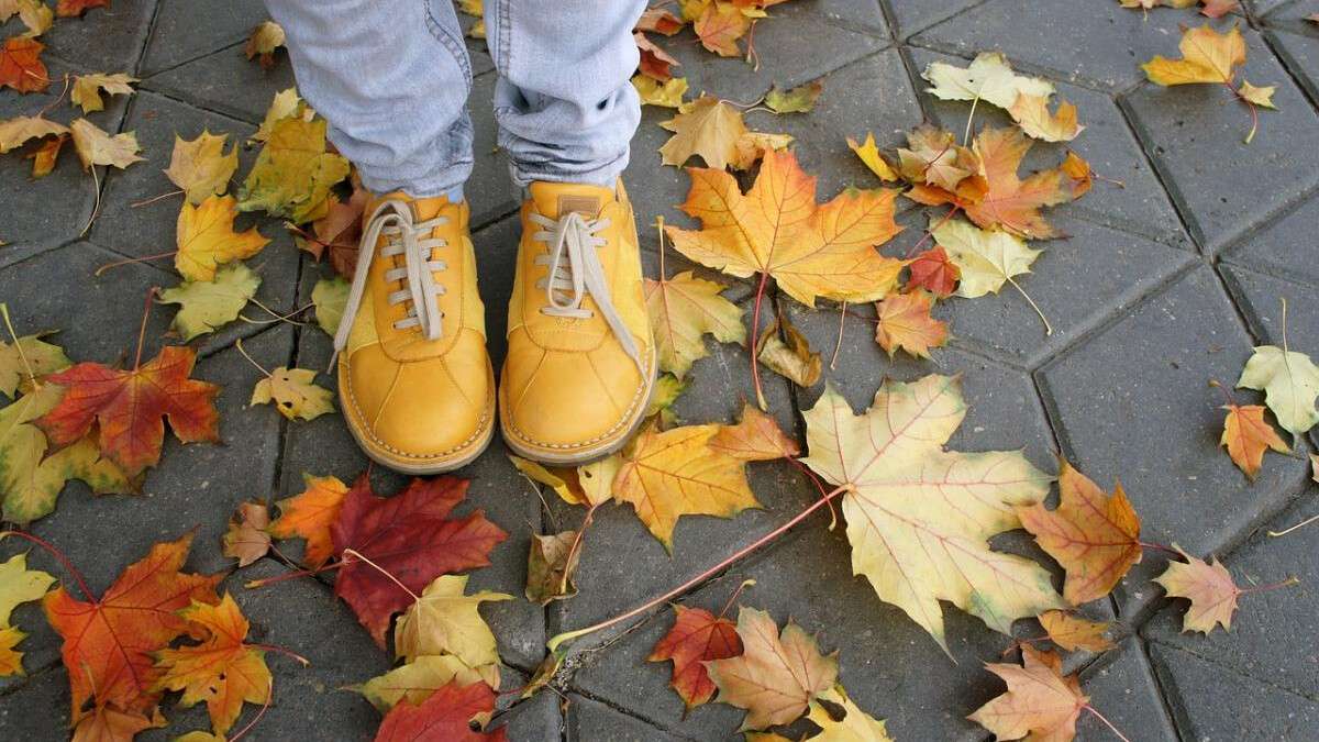 Погода в Днепре октябрь