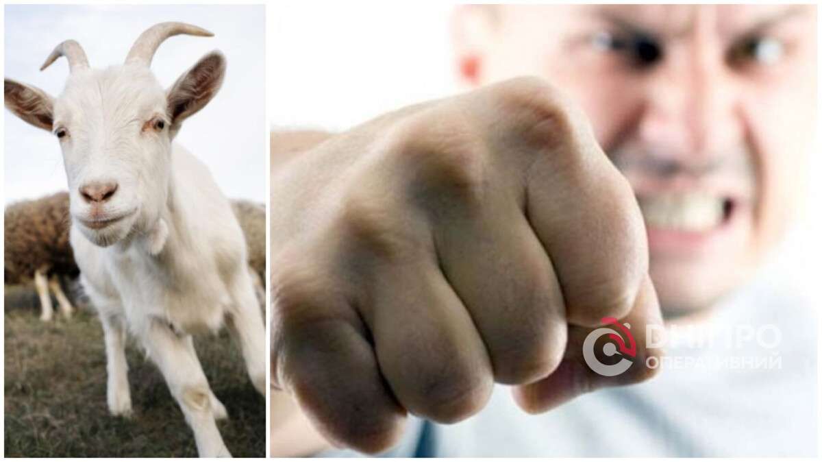 Суд в Днепре: как ссора из-за коз дошла до драки