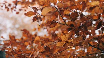 Погода в Днепре осень