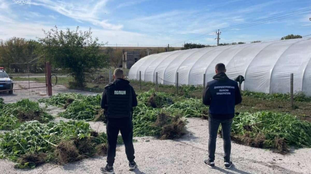 Наркотики на 7 мільйонів: викрили злочинну групу на Дніпропетровщині