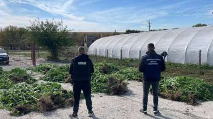 Наркотики на 7 мільйонів: викрили злочинну групу на Дніпропетровщині