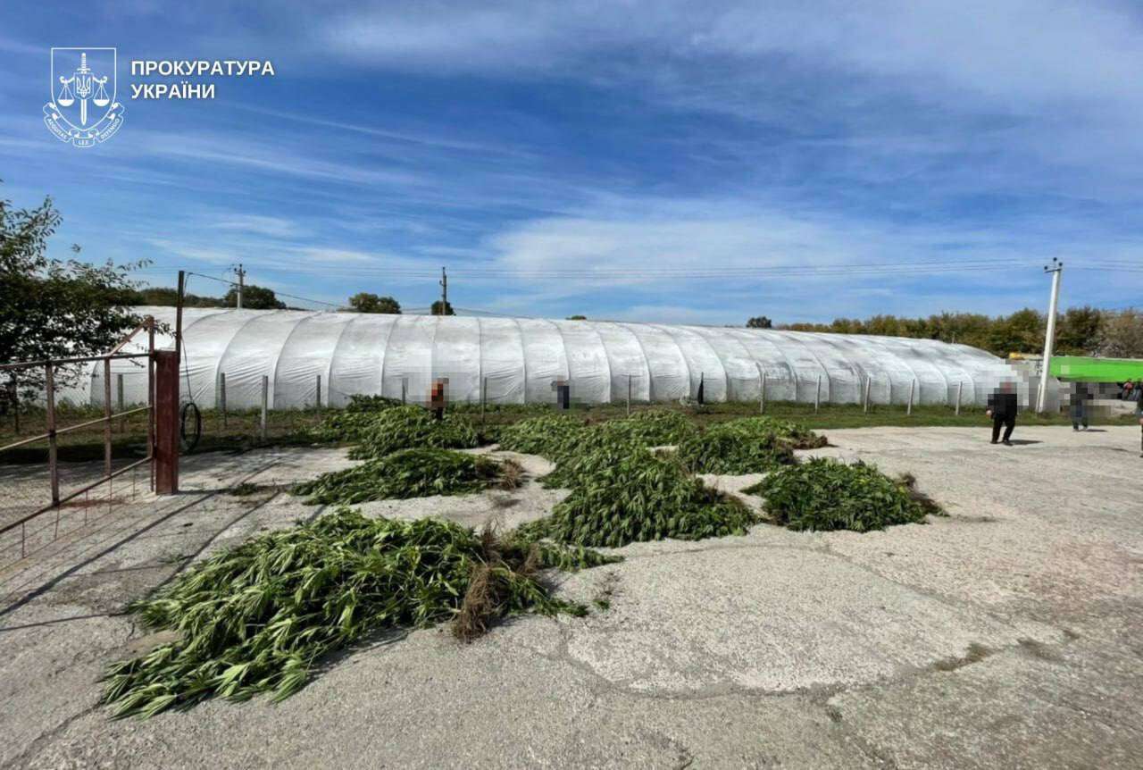 Наркотики на 7 миллионов: разоблачили преступную группу на Днепропетровщине