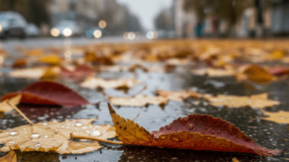 Погода в Дніпрі жовтень
