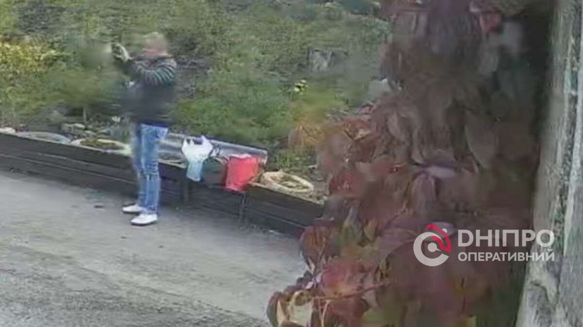 Неизвестный осквернил аллею, которую горожане высадили в память о погибших на фронте родных