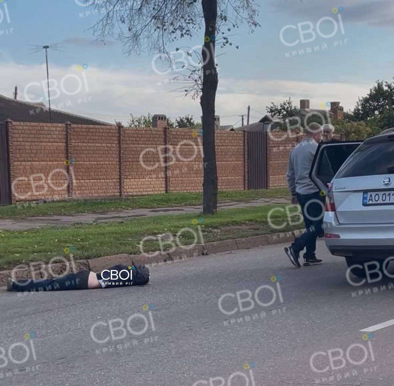 Насмерть сбил ребенка водитель Skoda в Кривом Роге