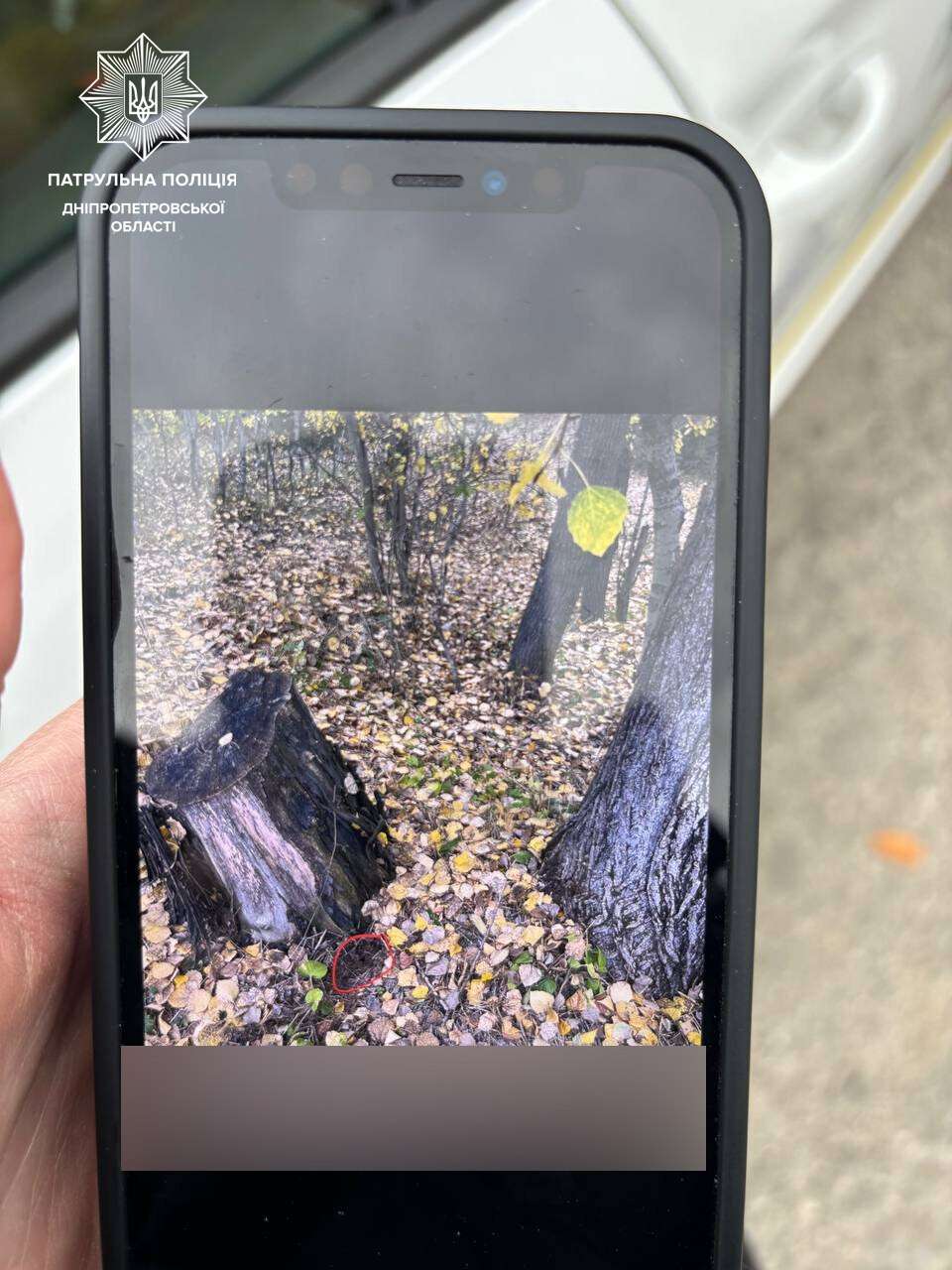 Подростки раскладывали 